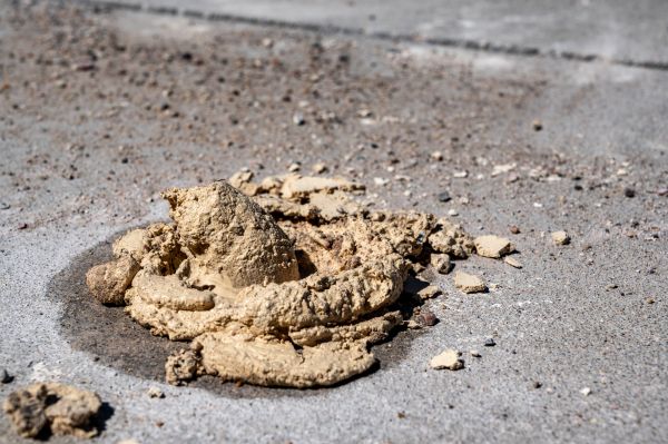 Cost of Driveway Slab Leveling in Kirkland